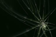 Бозон Хиггса 