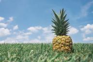 9 продуктов, от которых просто невозможно потолстеть