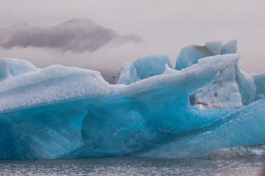 Под антарктическим ледником обнаружили оазис древней жизни