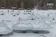 грибы из льда