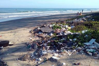 Большое тихоокеанское мусорное пятно заселили прибрежные виды животных