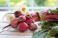 Как правильно хранить свеклу в погребе: 5 интересных вариантов