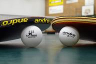 Выращенные в лаборатории клетки человеческого мозга освоили игру Pong быстрее, чем ИИ