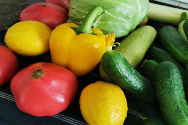 Какие овощи можно садить рядом: секреты, о которых должны знать огородники
