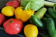 Какие овощи можно садить рядом: секреты, о которых должны знать огородники