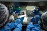 новый штамм