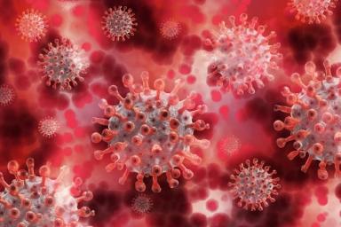 В Москве за сутки выявили рекордное количество новых случаев заражения коронавирусной инфекцией