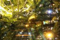 Новогодняя ёлка