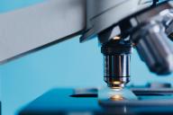 Обновленный датчик увеличил объем считываемых мозгом данных в 100 раз