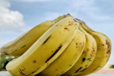 Как похудеть с помощью бананов