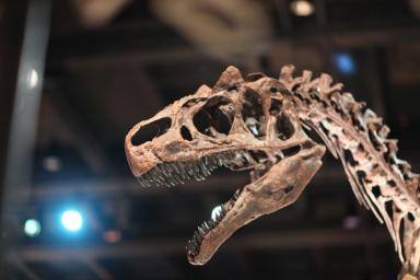 Развитие искусственного интеллекта позволит по-новому изучать динозавров
