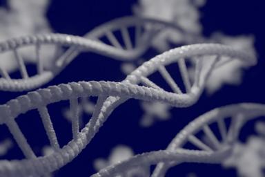 Вторичные структуры в ДНК связаны с раком