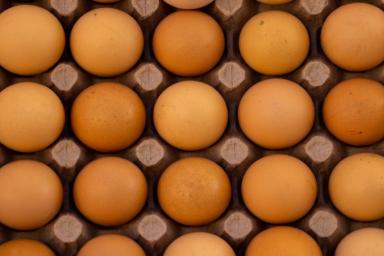 Что будет с организмом, если включить в рацион яйца: мифы и реальность