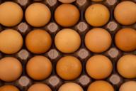 Что будет с организмом, если включить в рацион яйца: мифы и реальность