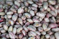 10 правил варки фасоли, о которых обязаны знать хозяйки