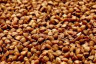 Почему стоит есть гречку