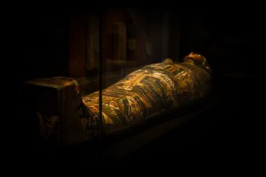 Археологи обнаружили в Египте высеченную в скале семейную гробницу с 20 мумиями