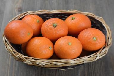 10 причин добавить апельсины в свой рацион