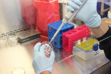  Первые клинические испытания инновационного препарата против рака начнутся в Лондоне