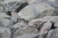 PLOS ONE: Орангутанги проявили способность создавать и использовать каменные орудия