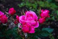 Готовимся к весне на даче. 5 действий, которые нужно сделать, пока не растаял снег