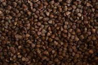 Как правильно варить гречку, чтобы она была вкусной и рассыпчатой