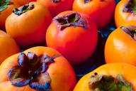 Какие растения можно вырастить из косточки в домашних условиях: 3 варианта