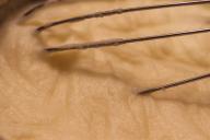 Как сделать идеальное картофельное пюре? 10 секретов приготовления