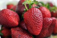 5 правил посадки новых кустиков клубники