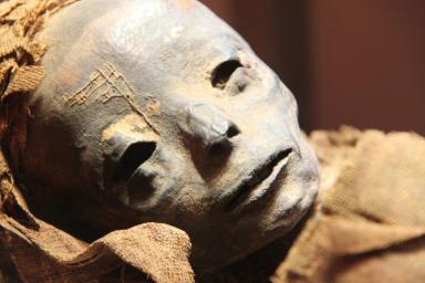 Амулет из человеческих костей обнаружили новосибирские археологи в древнем могильнике в Хакасии