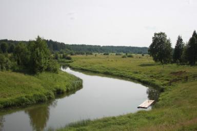 В России за год снизилось число случаев экстремального загрязнения рек и озер