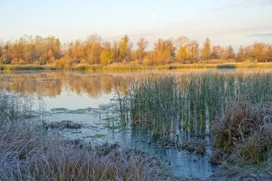 Мерзлые болота Сибири могут стать источником выбросов метана