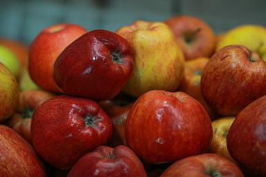 Как улучшить вкусовые качества яблок: советы дачникам