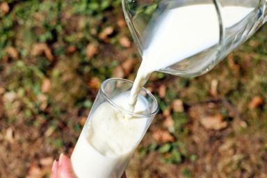 Питьё молока ухудшит симптомы рассеянного склероза