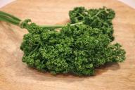 Выращивание пряных трав: советы начинающим садоводам и не только