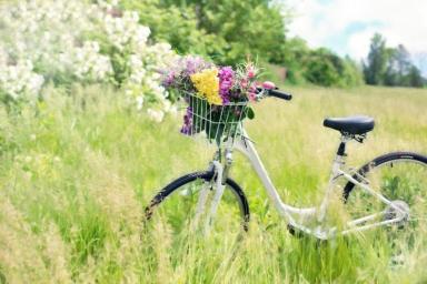 Велосипед Цветы