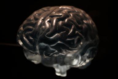 Обнаружена область мозга, отвечающая за подавление навязчивых мыслей