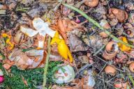 Как самостоятельно сделать правильный компост: 5 способов