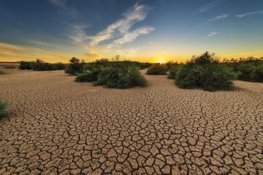 Исследование показало, что в мире растет число «внезапных засух»