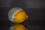 Биологи выявили белок, помогающий патогенным грибкам подавлять иммунитет растений