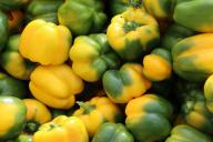 5 частых ошибок при уходе за перцем во время плодоношения