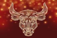 Если хотите жить долго и счастливо, никогда не говорите Тельцу эти 10 вещей