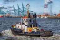 Порт Скадовска может уже осенью начать отгрузку зерна, сообщили власти