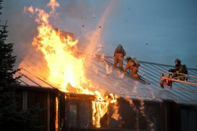 МЧС в Курганской области защитило от лесных пожаров более 1500 жилых домов