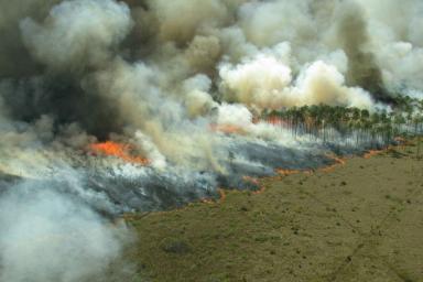 В Иркутской области тушат десять лесных пожаров