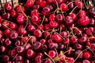черешня