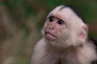 Кадр из фильма Эпидемия