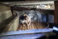 спасение, МЧС