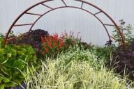 сад, растения