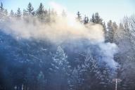 дым, лес, пожар